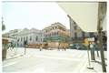 Largo di Torre Argentina Picture 10