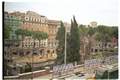 Largo di Torre Argentina Picture 5