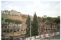 Largo di Torre Argentina Picture 31