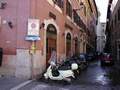 Largo di Torre Argentina Picture 30