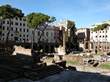Largo Argentina Picture 5
