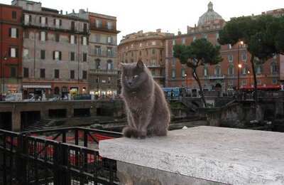 6 Gennaio 2001 - l.go argentina 11
