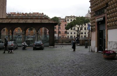 29 Dicembre 2008 - Area Sacra 03