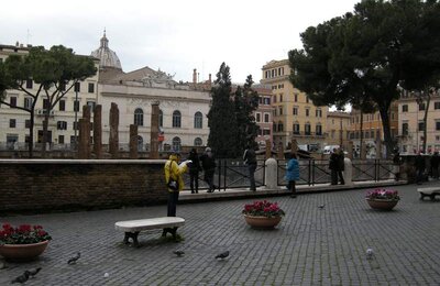 29 Dicembre 2008 - Area Sacra 04