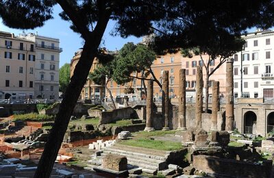 17 Aprile 2011 - 09 - Area Archeologica