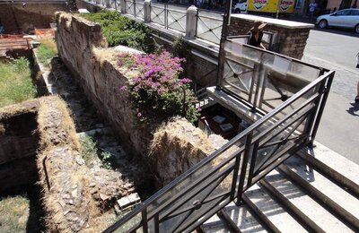 9 Luglio 2011 - Largo di Torre Argentina 21