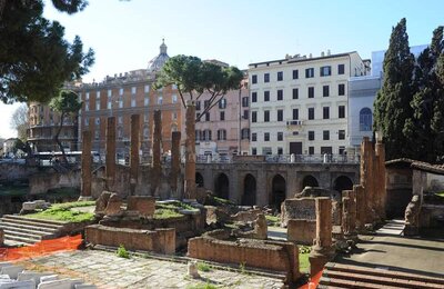 26 Dicembre 2011 - Largo di Torre Argentina 06