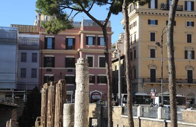 26 Dicembre 2011 - Largo di Torre Argentina 07
