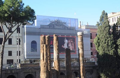 26 Dicembre 2011 - Largo di Torre Argentina 10