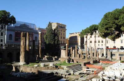 26 Dicembre 2011 - Largo di Torre Argentina 12