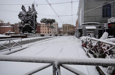 4 Febbraio 2012 - Largo di Torre Argentina 02