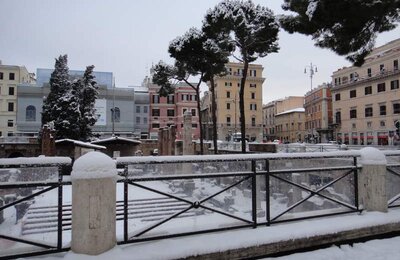 4 Febbraio 2012 - Largo di Torre Argentina 06