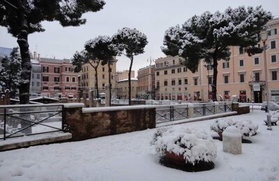4 Febbraio 2012 - Largo di Torre Argentina 08