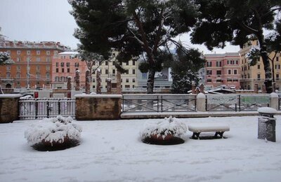 4 Febbraio 2012 - Largo di Torre Argentina 10