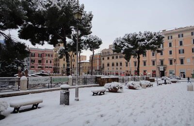 4 Febbraio 2012 - Largo di Torre Argentina 11