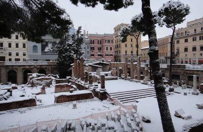 4 Febbraio 2012 - Largo di Torre Argentina 13