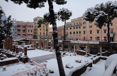 4 Febbraio 2012 - Largo di Torre Argentina 14