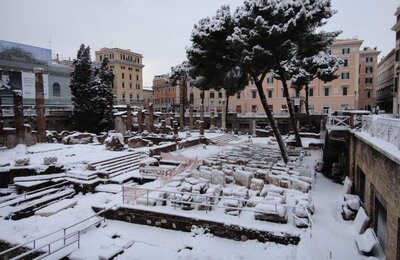 4 Febbraio 2012 - Largo di Torre Argentina 18