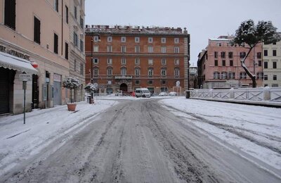 4 Febbraio 2012 - Largo di Torre Argentina 22