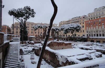 4 Febbraio 2012 - Largo di Torre Argentina 25