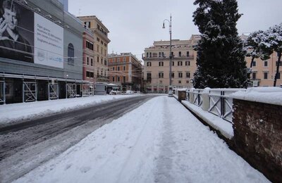 4 Febbraio 2012 - Largo di Torre Argentina 27