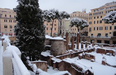 4 Febbraio 2012 - Largo di Torre Argentina 28