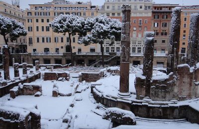 4 Febbraio 2012 - Largo di Torre Argentina 30
