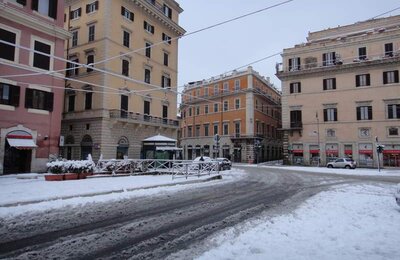 4 Febbraio 2012 - Largo di Torre Argentina 32