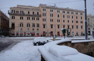 4 Febbraio 2012 - Largo di Torre Argentina 33