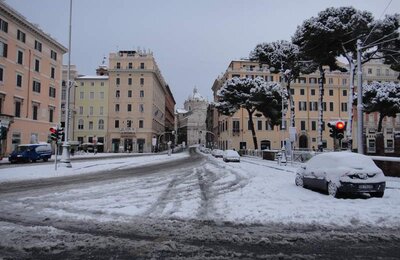 4 Febbraio 2012 - Largo di Torre Argentina 35