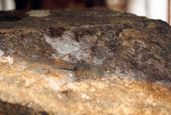 Area Sacra - Restauri