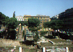 Area Sacra - Scavi archeologici 4